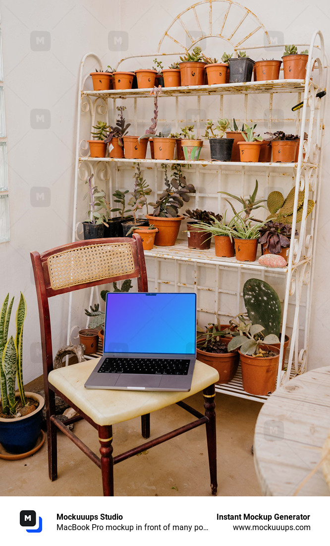 MacBook Pro mockup in front of many potted plants