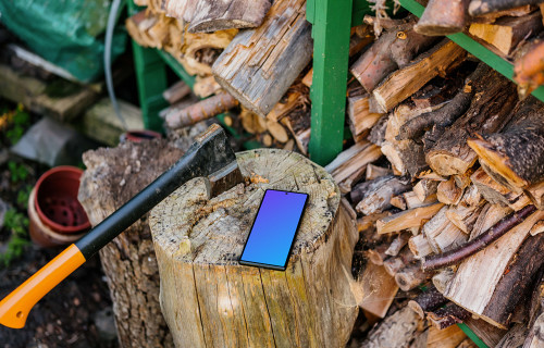 Google Pixel 6 mockup on a wooden stump