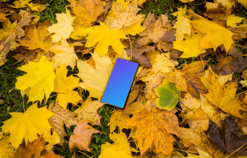 Google Pixel 6 mockup with autumn styling