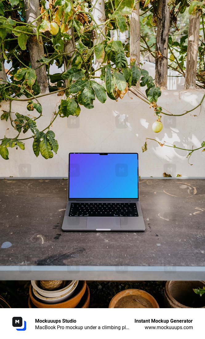 MacBook Pro mockup under a climbing plant